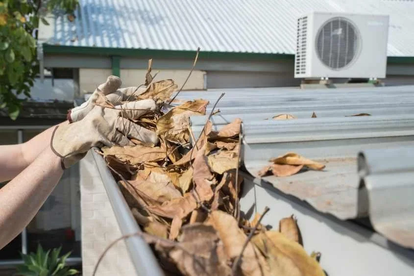 Gutter & Spouting Cleaning